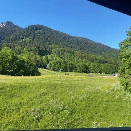 Belle Neige