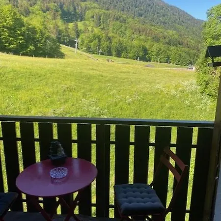Belle Neige