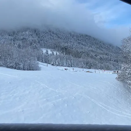 Apartman Belle Neige *